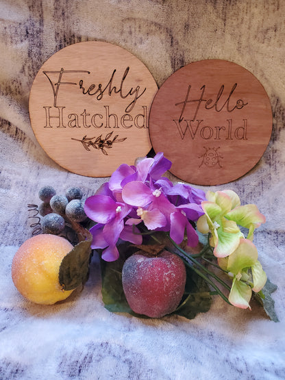 Baby Milestone Markers